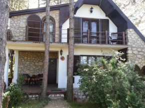 Guesthouse Bajka, Vinci